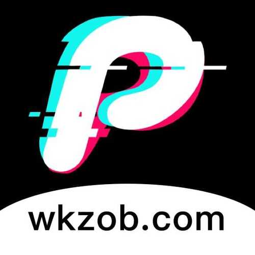 找帮app破解版插件下载