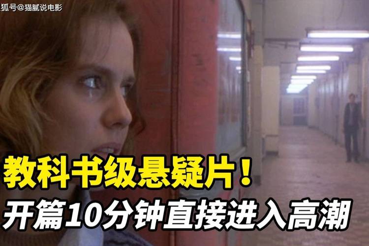 一级A片在线观看播放红豆视频