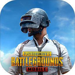 pubg国体插件