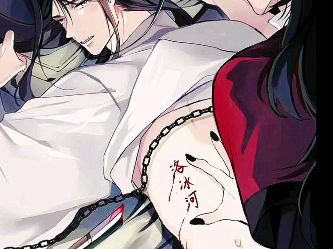 沈清秋洛冰河第一次