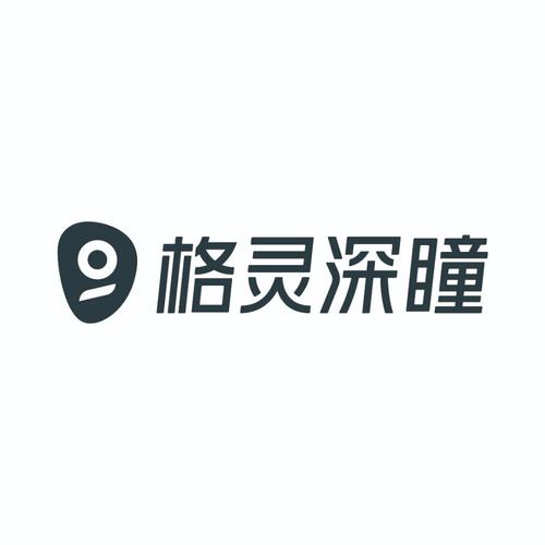 深瞳优评的报告去哪找