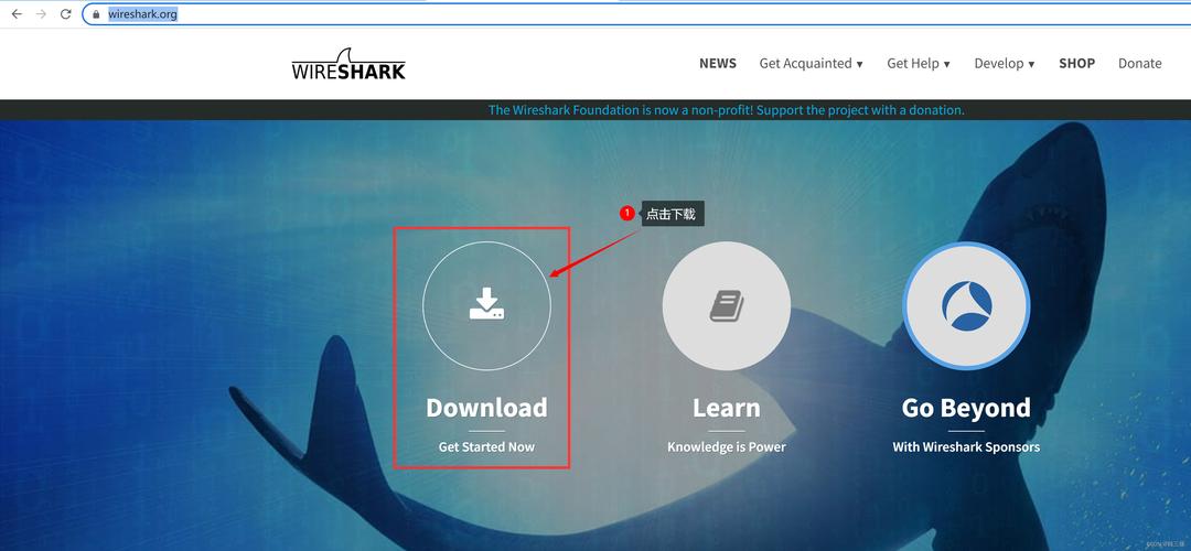 wireshark查看文件过程