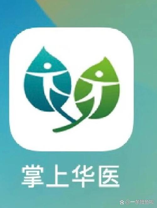 掌上华医app