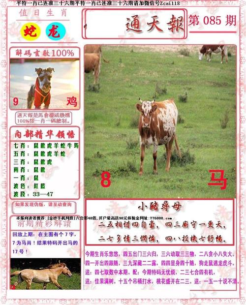 小喜通天报正版图2025