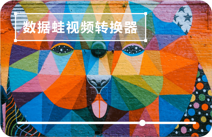 数据蛙视频转换器
