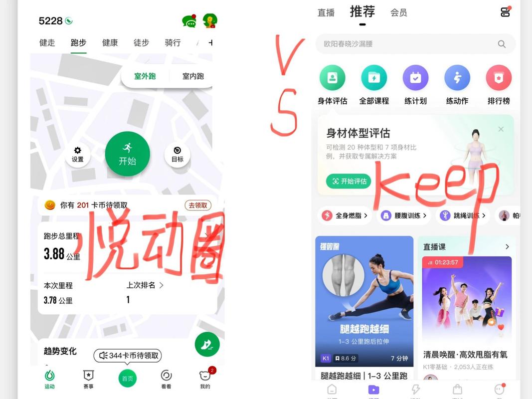 悦动圈怎么跑步视频