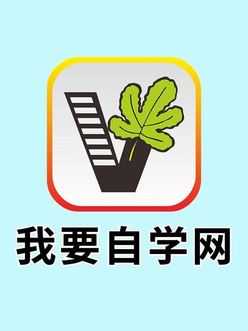 自学网app官网最新版本更新内容