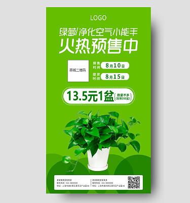 绿萝资讯转发赚钱