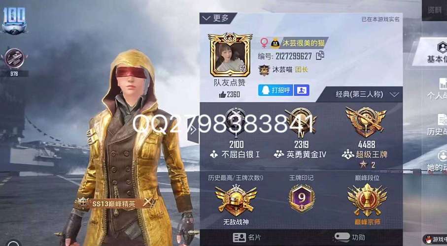 至尊金龙美化包修改器