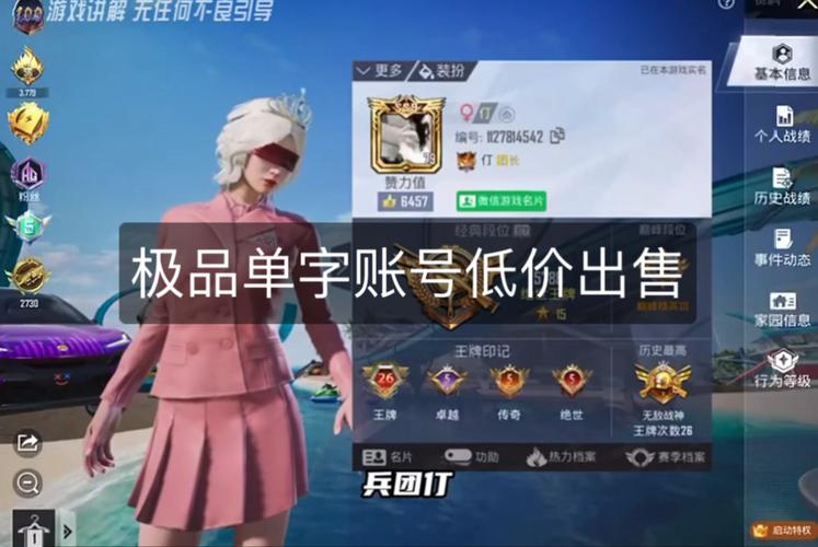 吃鸡单字id修改器