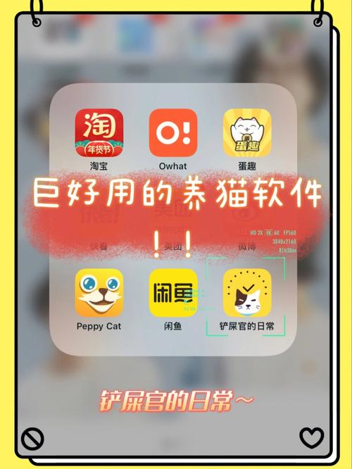 全民养猫app
