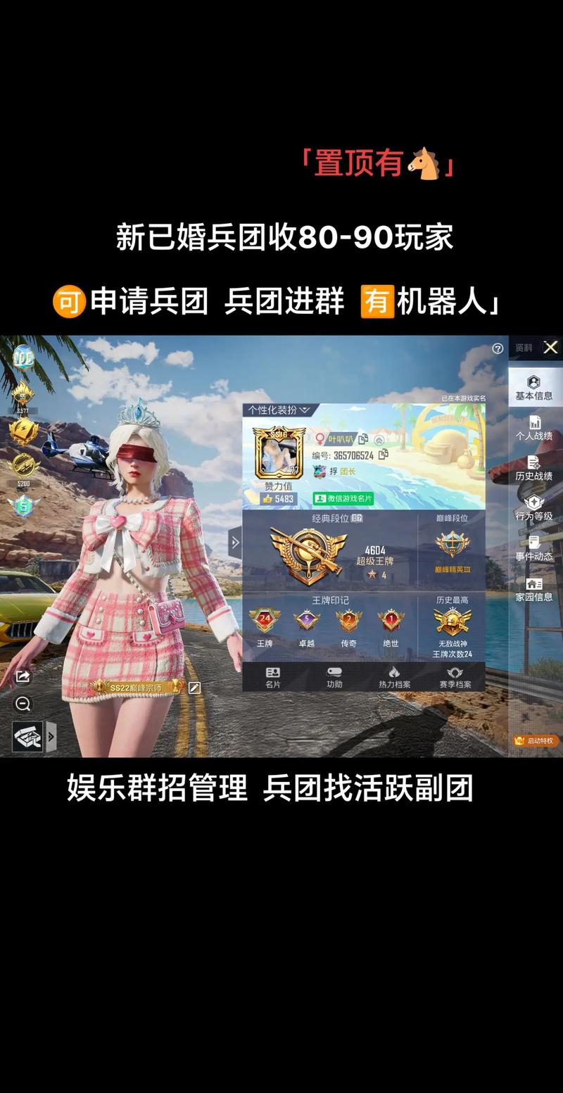 和平精英团长辅助