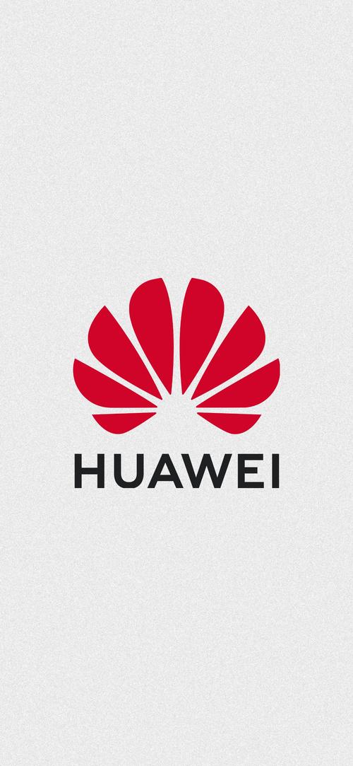 第一弹手机网页版