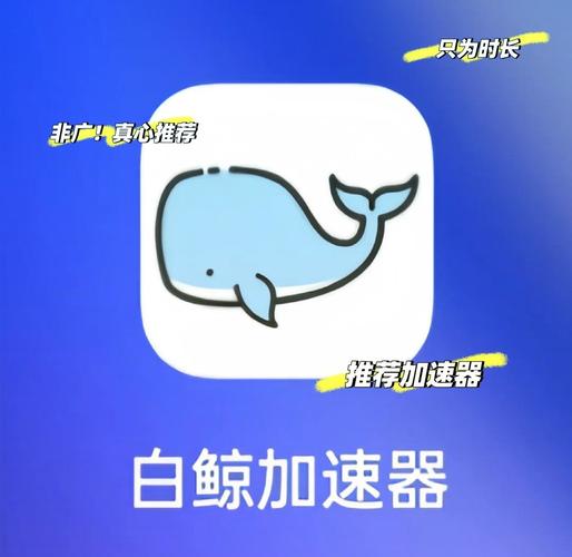 白鲸加速器破解版永久VIP