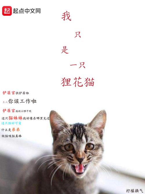 花猫小说最新版免广告版