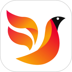 火焰鸟开挂免费