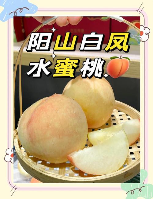 水蜜桃免费观看电视剧