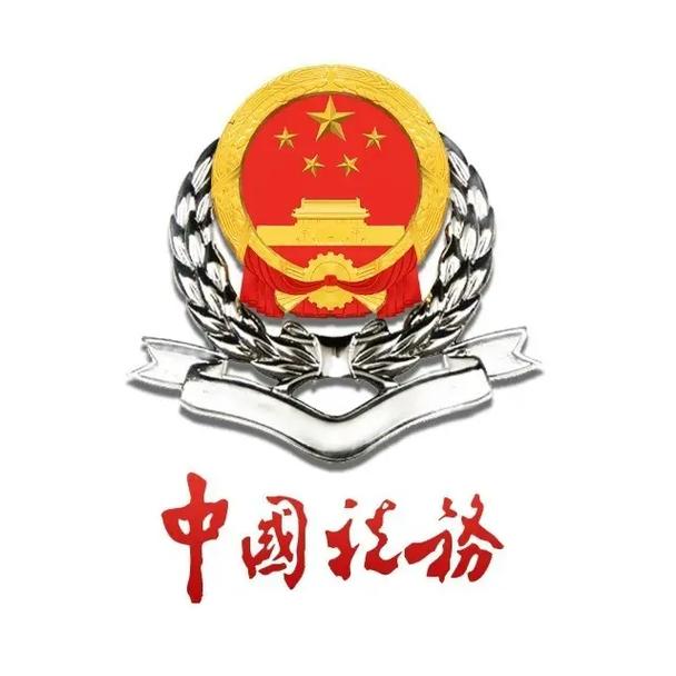 国家税务总局app