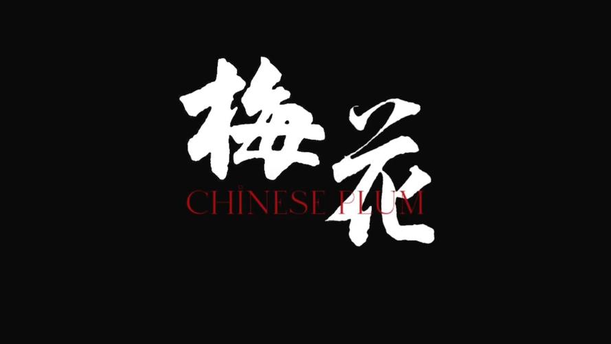 梅花视频看片免费最新版本