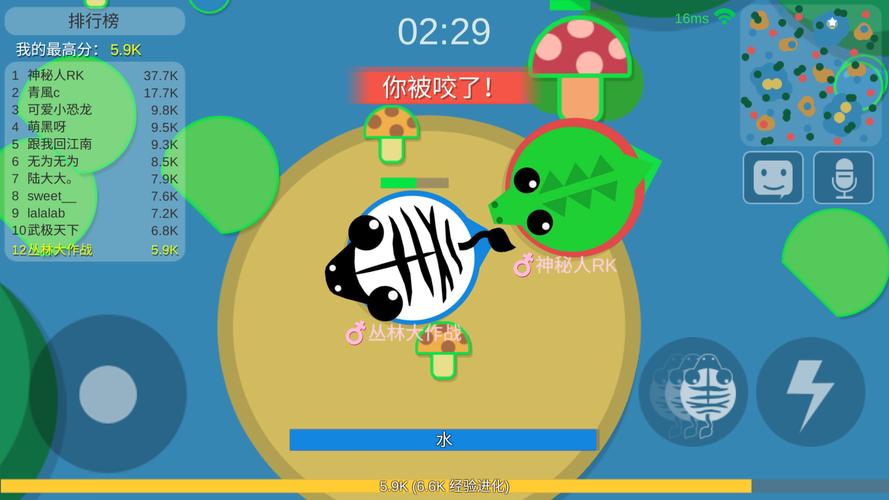 丛林大作战正版