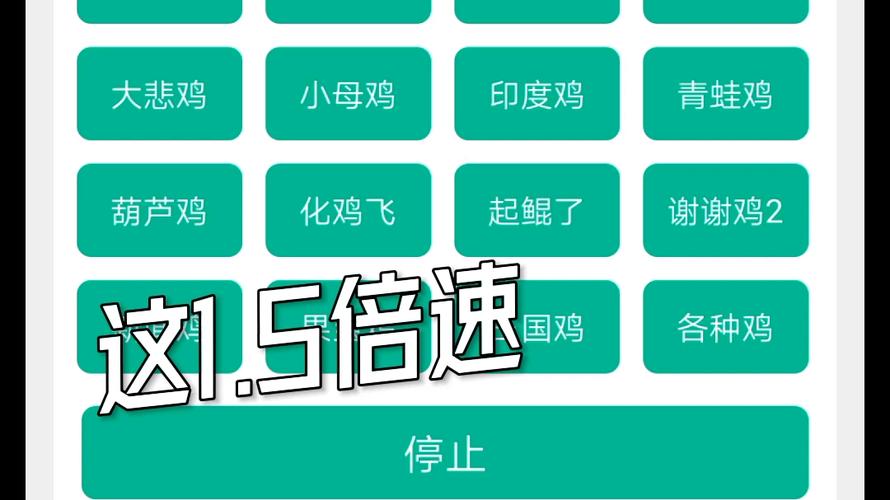 鸡音盒链接入口