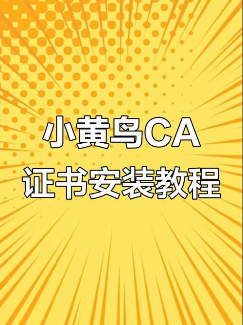 黄鸟ca证书下载安装流程