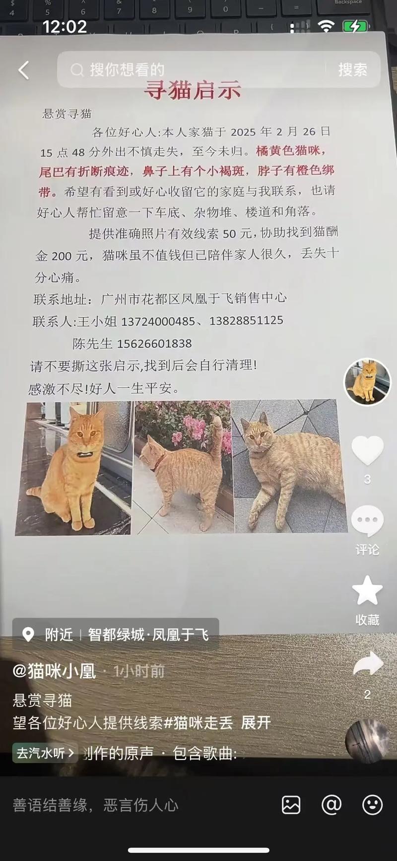 急急猫悬赏平台