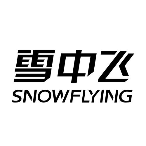 飞雪娱乐