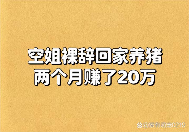 辞职去养猪红包赚
