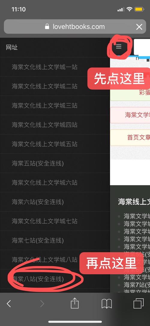 龙马海棠网站20