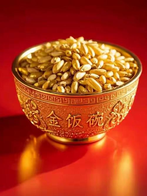 金饭碗赚钱最新版