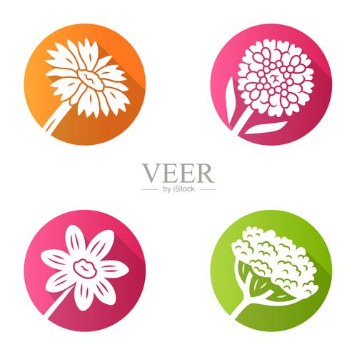 野花短视频福利版