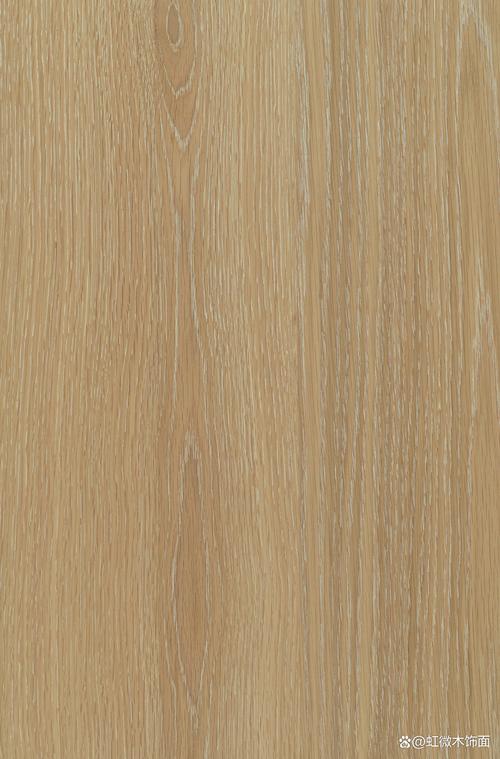 橡木阅读手机版