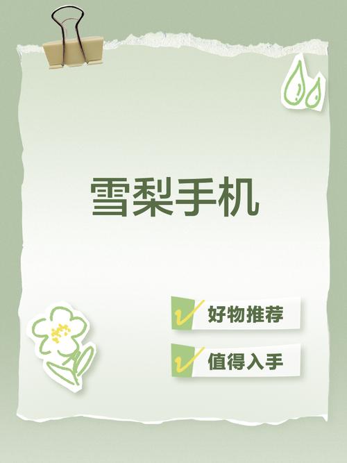 z230tv雪梨直播app