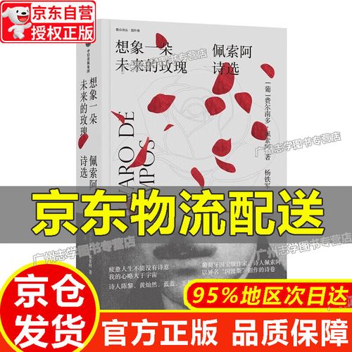 《想象一朵未来的玫瑰:佩索阿诗选》小说在线阅读