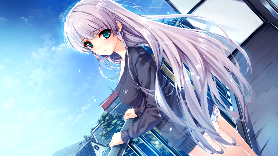 寻找失去的未来