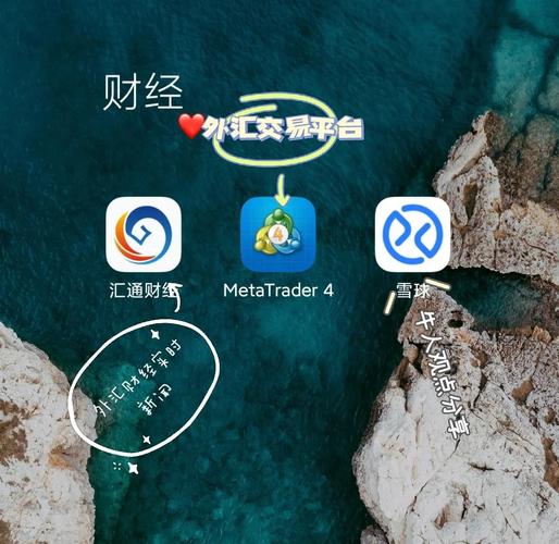 黄金外汇交易软件TMGMetaTrader45.0.0.910官方版