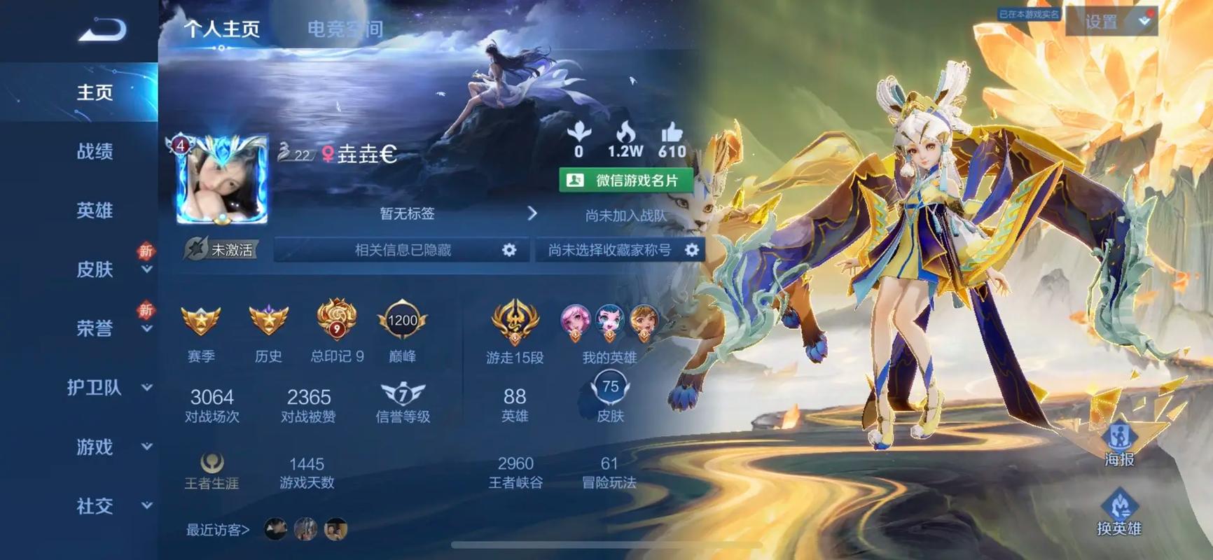 王者荣耀皮肤辅助器(免费)