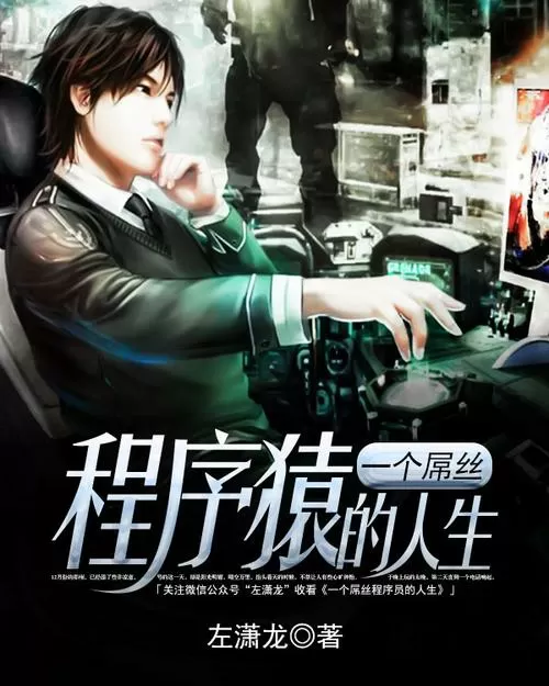 程序员小说