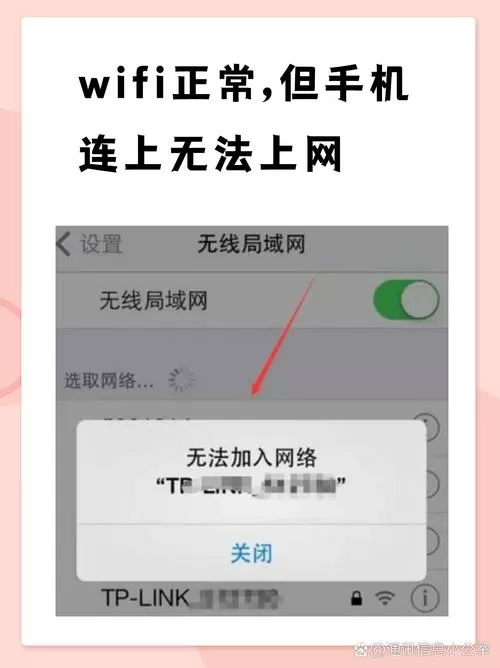 wifi能连上但不能上网