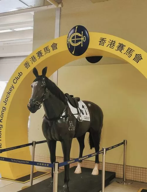 路路发香港赛马