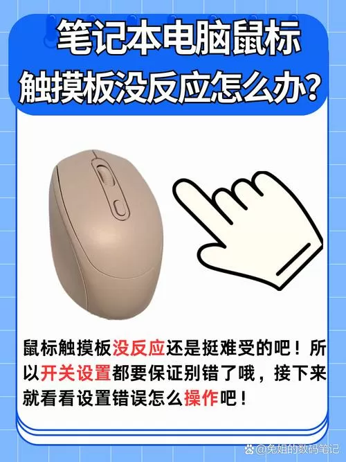 联想电脑鼠标触摸板没反应怎么办