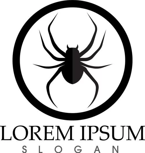 科学家发现世界上最大蛛网