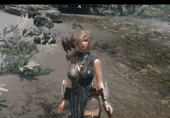 上古卷轴5油光皮肤